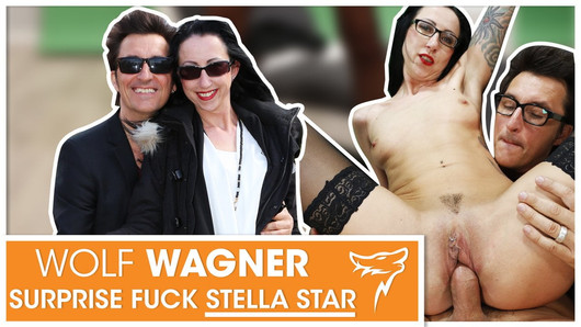 Stella Star picked up & fucked in chair! WolfWagner.com