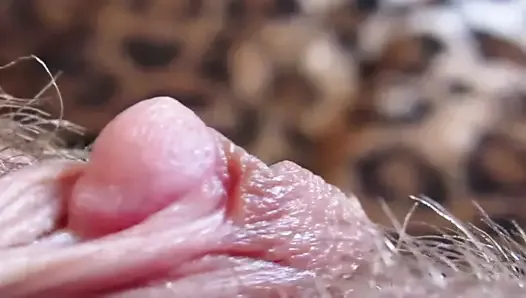 Extreme Close-Up On My Big Clit