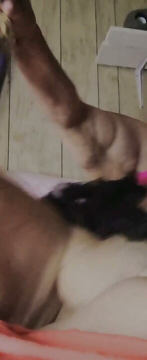 Com o rabo dela curvado, ele a mais de n