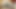Close up video Fucking asian girl hard until I cum
