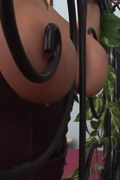 Pregled videozapisa