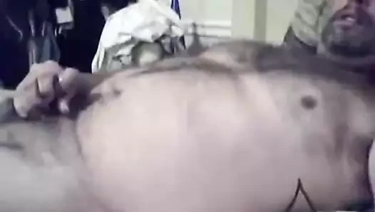 kamera üzerinde ayı