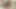 Islak korkunç amcığı sert bir yarak sikişi için çığlık atıyor ve ona bunu veriyorum