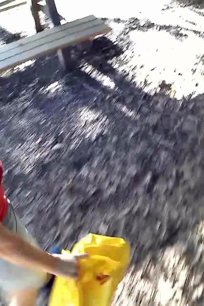 Šetnja parkom