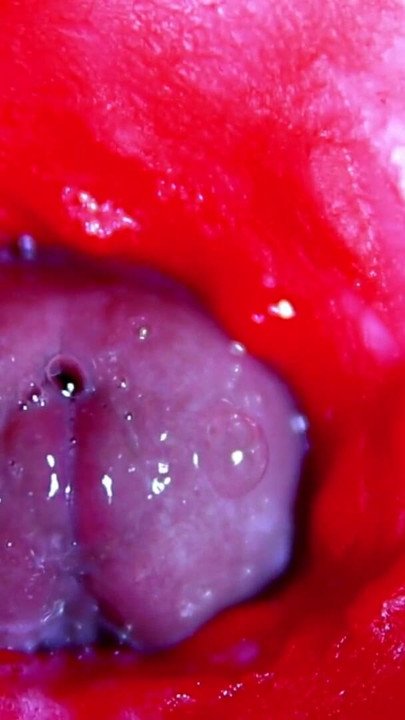 Extreme close-up ASMR head inside wet pussy | Clip 1