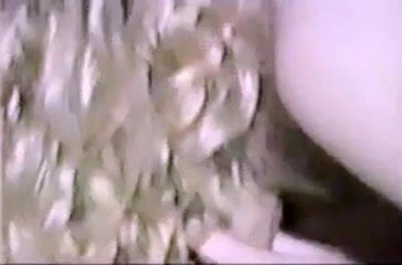 V003