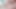 Гарячий пролапс простати з пролапсом пролапсу пролапсом n joy eleven tease, розтягнутий анальний бутон троянди, навчання сіссі чувака, частина 4