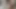 Super horny and exotic looking amateur stokes cock with