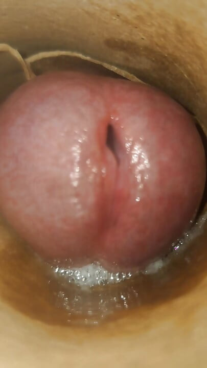 POV: Cummin' Inside of You