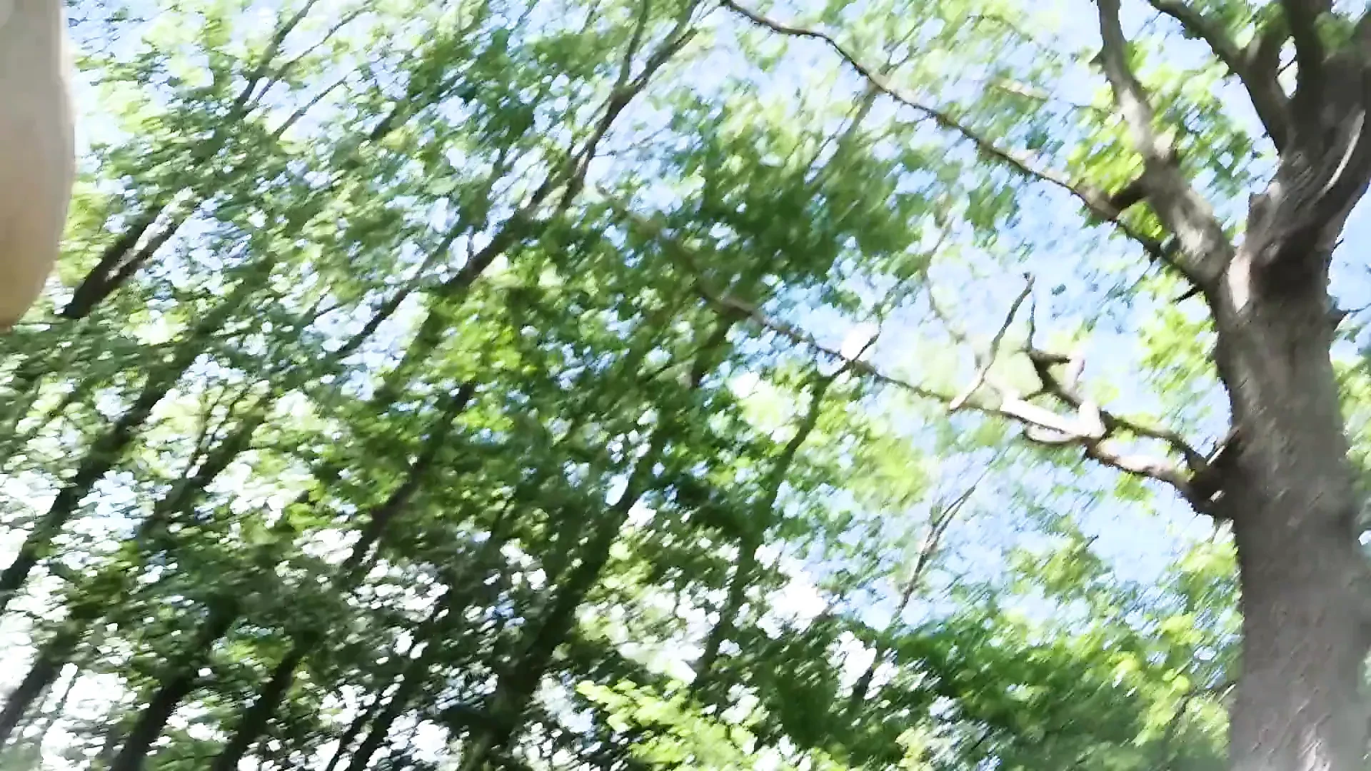 Abspritzen im Wald