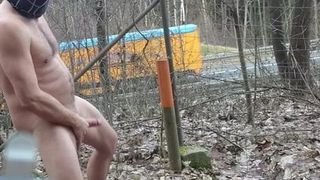 Flashing and jerking naked near the highway