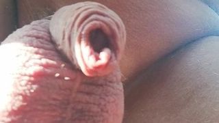 New cockring and precum piss