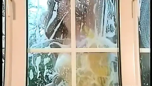 The Window Cleaner