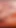 Big chubby cums to orgasm