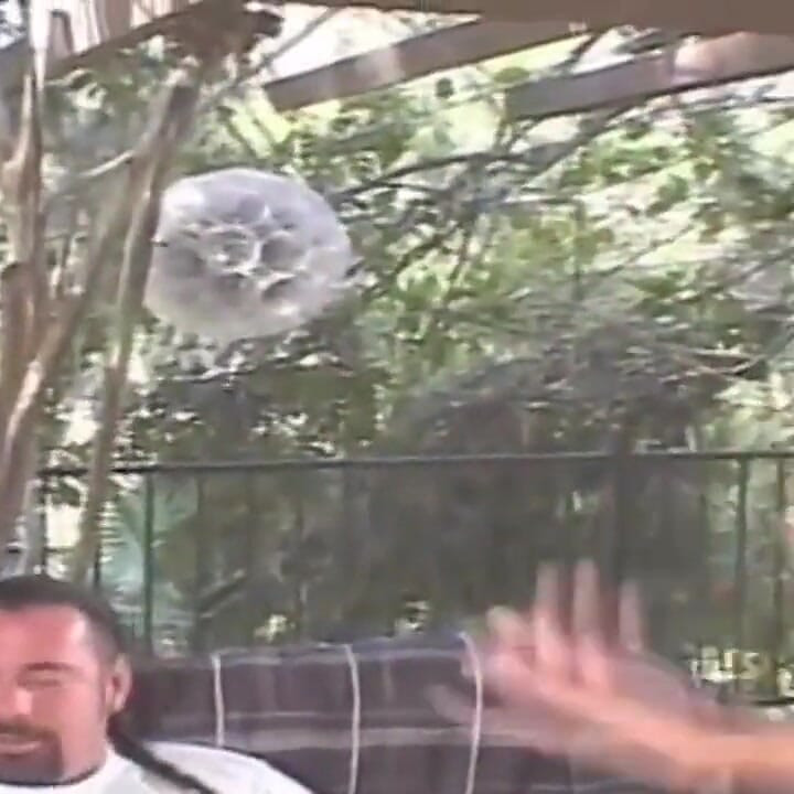 Blonde Babe's Pussy Devoured and Dripping in Intense Outdoor Fuck