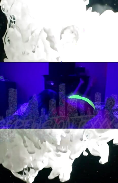 Barbiie Said: Hi, Guys! …..new Scence Compilation
