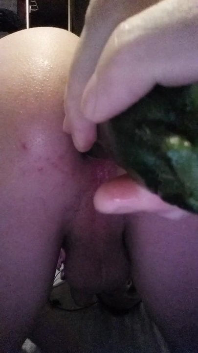 Anal cucumber solo