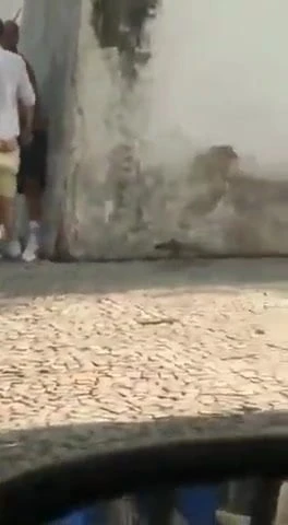 que estoy viendo