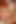 Daddyontwink Blond Twink Danny Junior Barebacked by Hung Dude