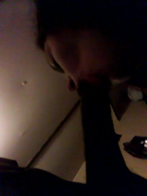 Daddy long leg