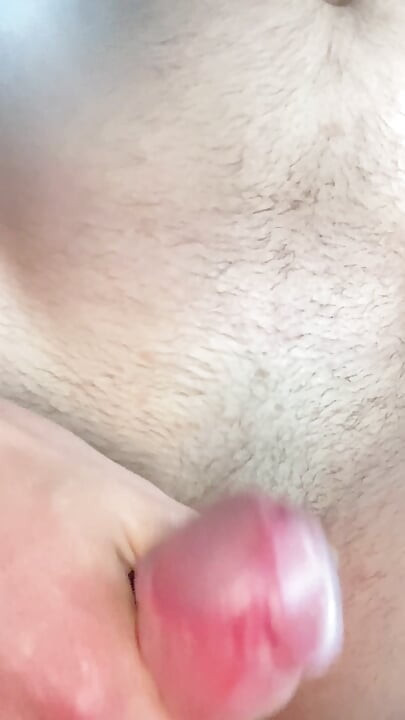 폴란드 사정 2