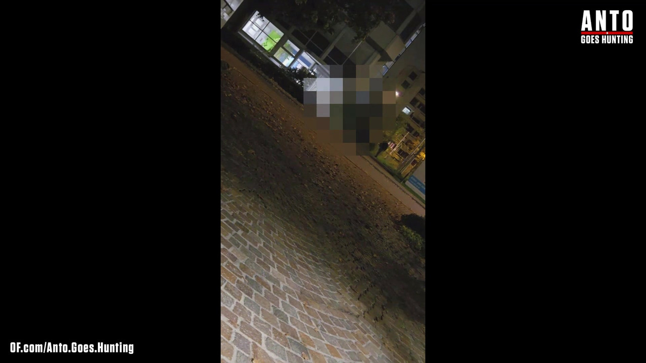 另一个保安走近并说服