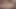 Young skinny ladyboy in brown dress strips and jerks off on