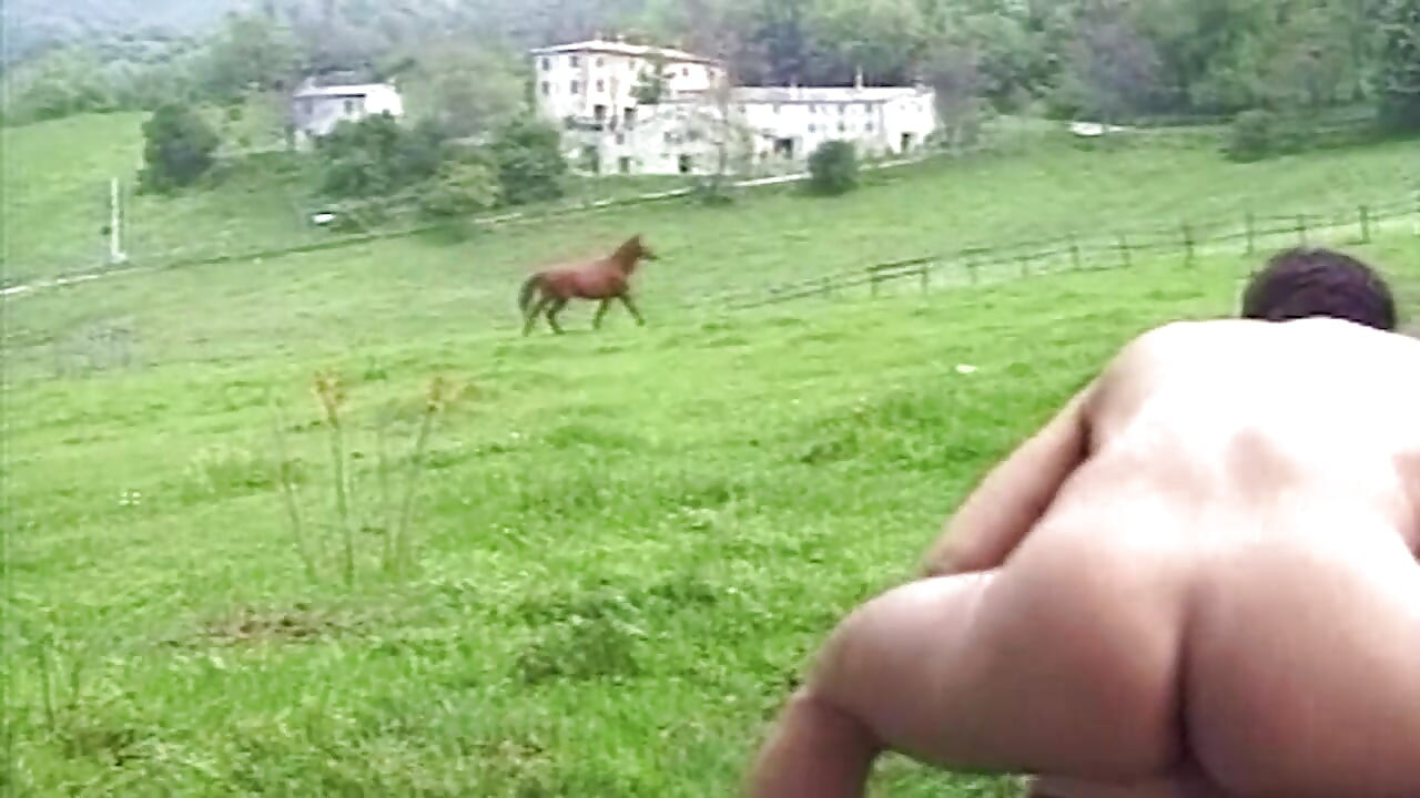 Mature Blonde MILF Stretched Wide in Outdoor Hardcore Pounding