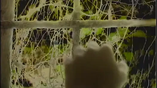 Blonde MILF Get Fucked by His Boyfriend in the Forest