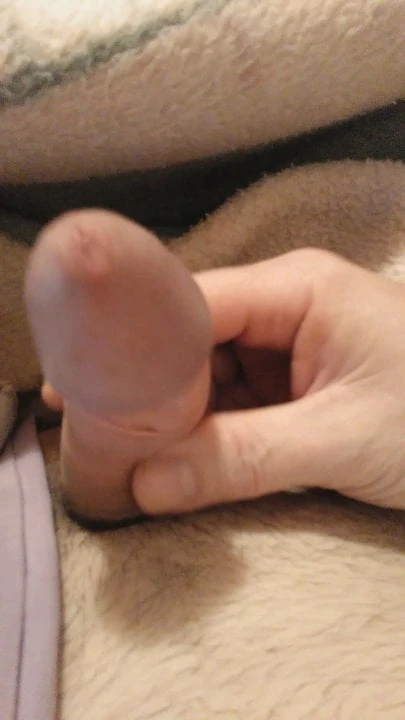 mi polla