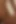 Teen Latina Riding a Dildo