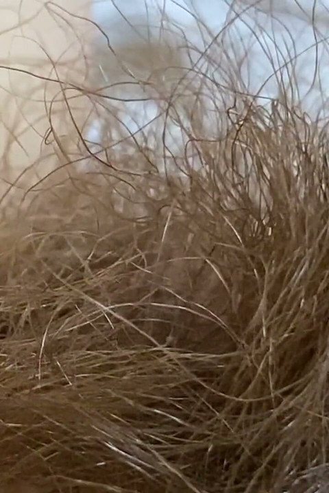 ענקית עם דגדגן ענקי ואנשים ממודל רכבת בתקריב קיצוני