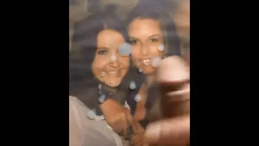 Tamster (bgrl900) ve arkadaş haraç