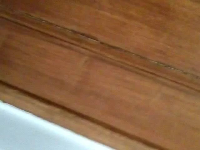 they fuck in my room