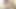 Black stud with dread locks fucks light skinned ebony slut's shaved pussy