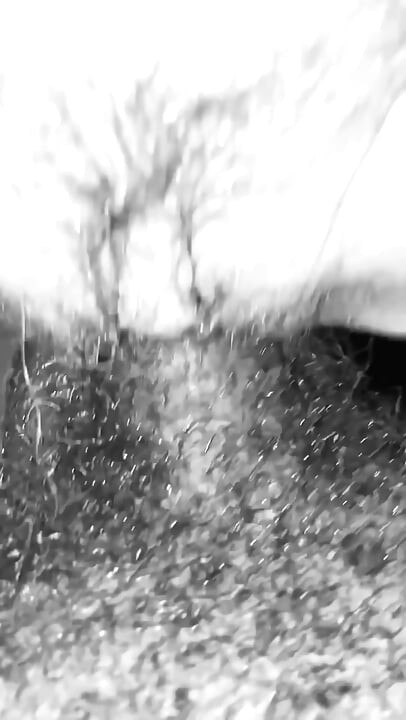 I Smell Pussy