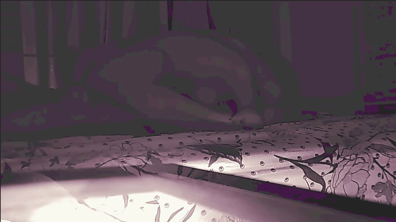 Anal Stepdaughter Tight Asshole Used Without Permission Painal Part 4