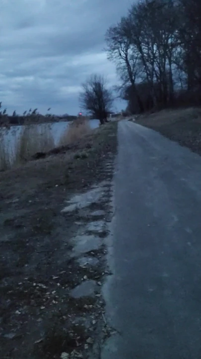 Night walk