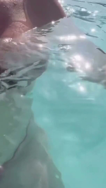 Artemisia Love flashing her juicy big tits underwater for you wearing a sexy bikini | Clip 2