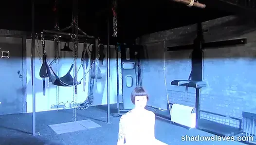 Einführung in Reversa