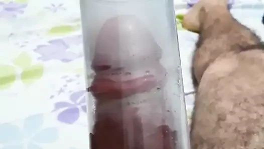 Pompa