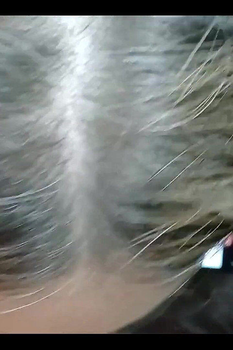 Sucking Cock