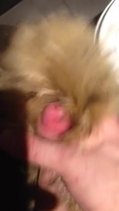 Cumming in fur collar