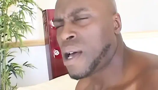 Кусок шоколада длиной 30 см