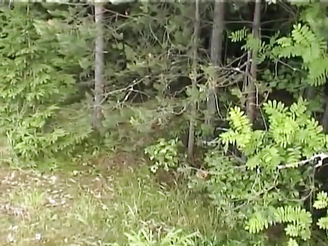 Teenagers outdoors fucking hard