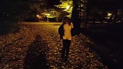 Она светит сиськами и раздевается в публичном парке ночью