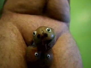Dick face & ball face