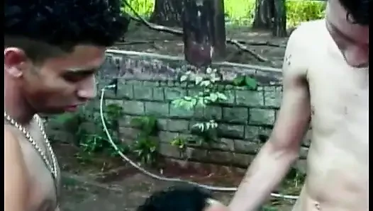 Hot Brazilian cutie Sandra proposed her friends to wash their car and to have some bisexual fun grass lawn