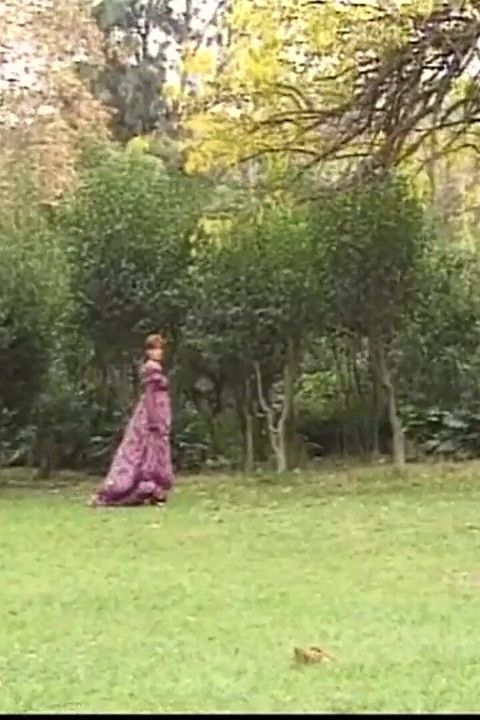 The Garden