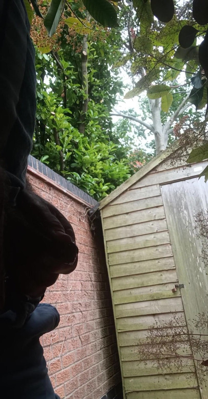 More pissing in the garden.